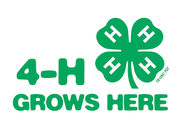 4-H Grows Here with 4-H Clover