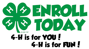 4-H Clover. Enroll Today. 4-H Is for You! 4-H is for Fun!