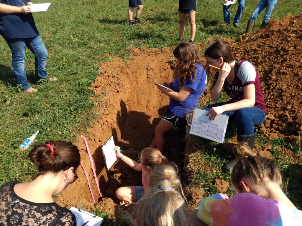 Students looking inside soil pit during 4-H Soil Judging