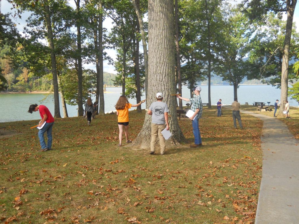 Students use Biltmore Sticks to measure the diameter of a tree at 4-H Forestry Contest