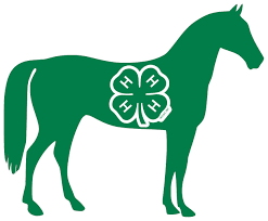 Horse with Green 4-H Clover