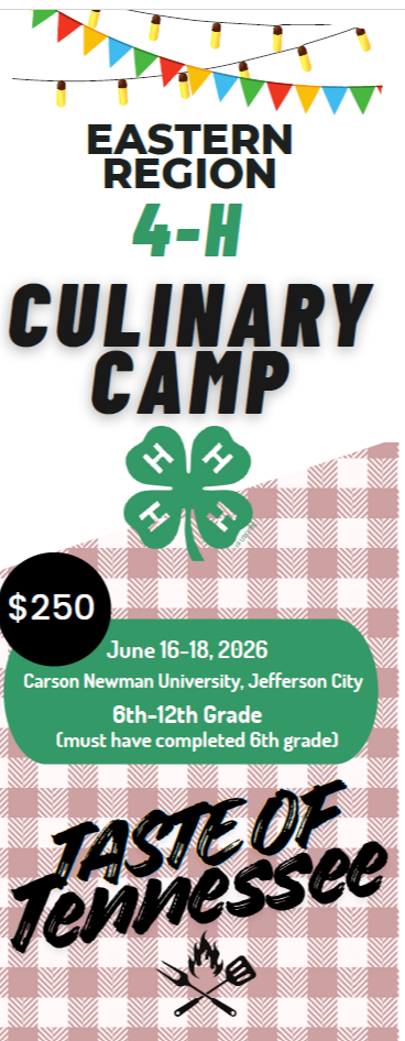 Culinary Camp 

June 16-18

Completed 6th-12th graders

Register to 4-H Office by April 10th

Must Apply and Be Accepted

https://drive.google.com/file/d/1zWNSP3-gtBle67JlXwe6SRllP9EM55VJ/view?usp=drive_link
